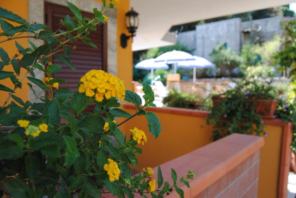 Residence Villa Il Glicine Taormina Oda fotoğraf